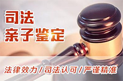 白城司法亲子鉴定手续和流程(附2025鉴定中心地址)，白城司法亲子鉴定哪里做